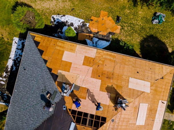 Best Roof Gutter Cleaning  in Brookneal, VA