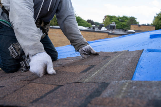 Gutter Installation and Roofing in Brookneal, VA
