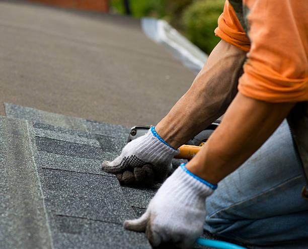 Best Storm Damage Roof Repair  in Brookneal, VA