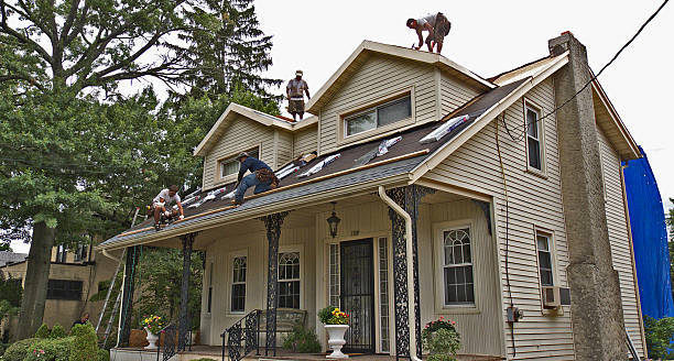 Best Gutter Installation and Roofing  in Brookneal, VA